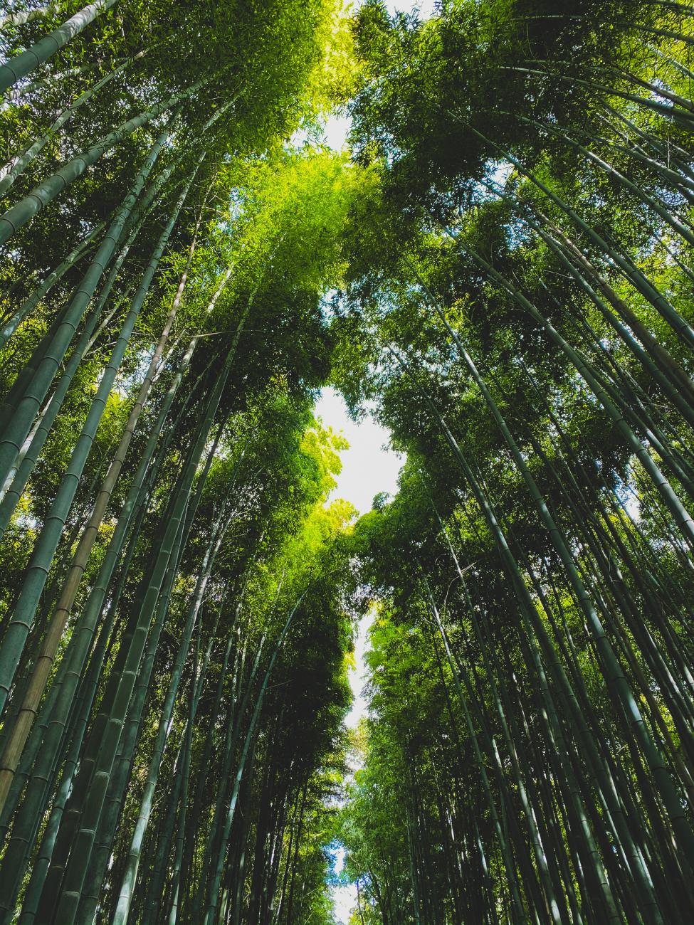 Ambiente